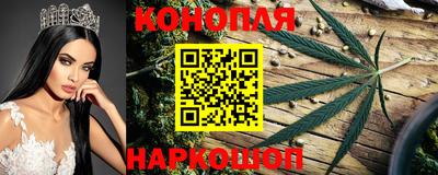 гидра Ливны